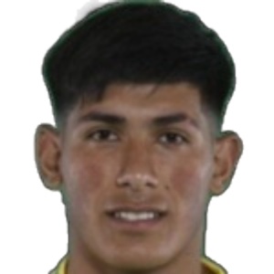 L. Vargas