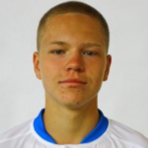 E. Ibragimov