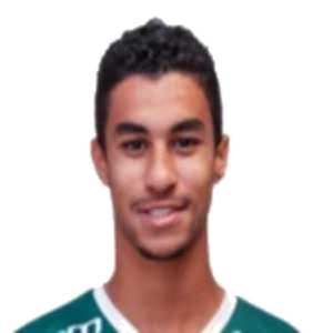 David Kauã