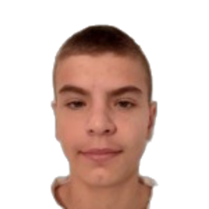 D. Iskrić