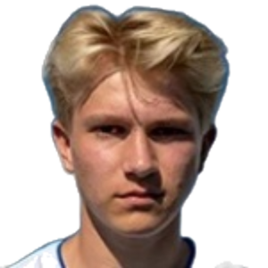 N. Lassen