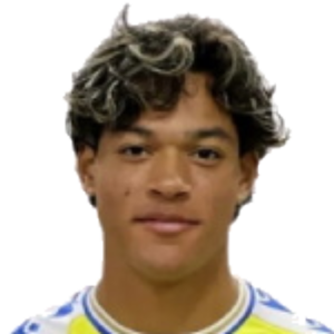 F. Castillo