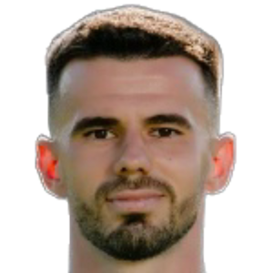 N. Pîrvulescu