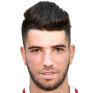 R. I. Grecu