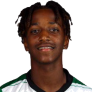 Alexandre Miguel Soares Carvalho Brito