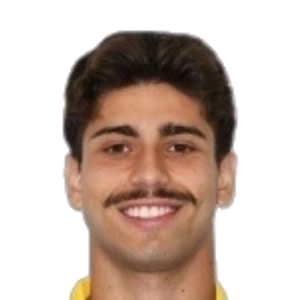 Mateus Lusuardi