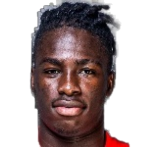 M. Bamba
