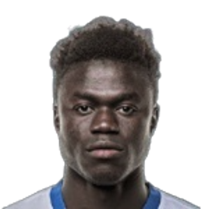 Y. Bojang