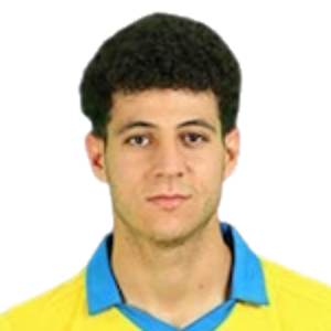 N. Farag