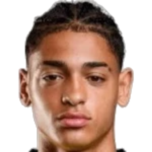 P. Rodriguez