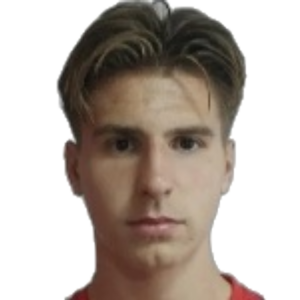 N. Mujkic