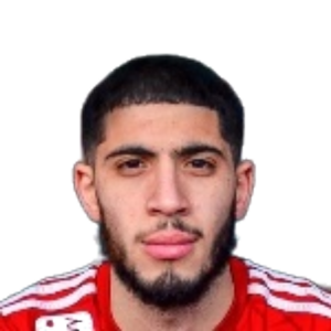 M. El Wakil