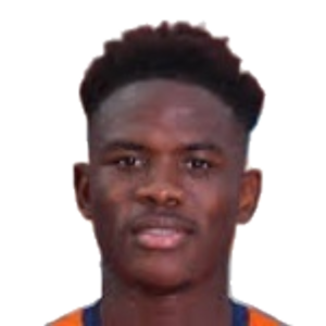 W. Ndollo Bille
