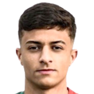 Renato Alexandrino