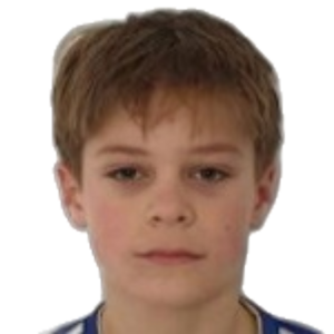 N. Godec