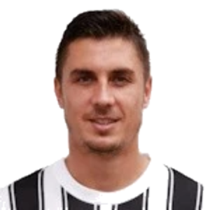 N. Nikolić