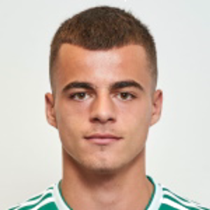 D. Savic