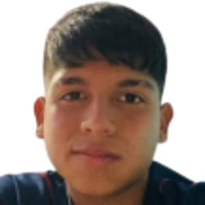 D. Pereira