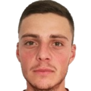 D. Vidic