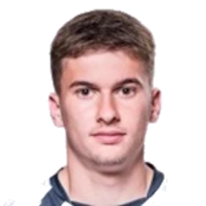 L. Vrzić