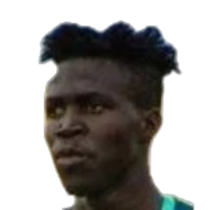 M. Bamba