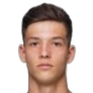 S. Filipovic