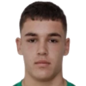O. Vladimirov