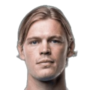 H. Andersson