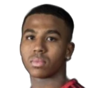 N. Perry