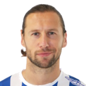 G. Krychowiak