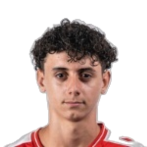 Sandro Vidigal