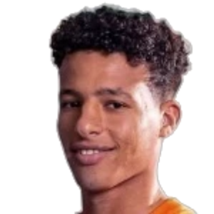 Khaled Shefo