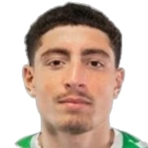 N. El Jamali