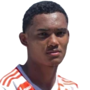 Raykkonen Pereira Soares