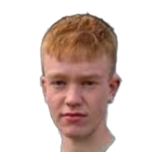 B. Þorsteinsson