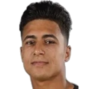 Mohamed Abdelrahim