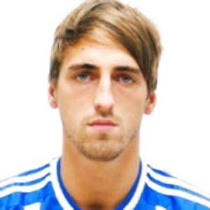 I. Markelov
