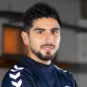 A. Alegre
