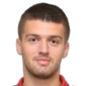 F. Predragovic