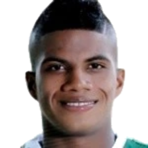 Y. Suarez