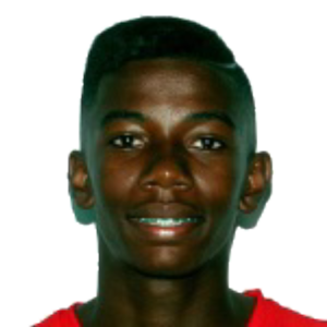 J. Palacios