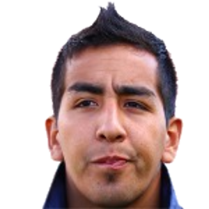 M. Ibanez