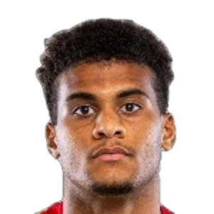 L. Diaby-Fadiga