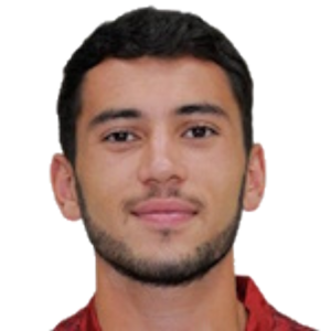 Z. Shaghoyan