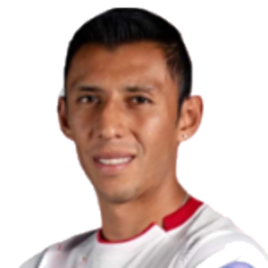 D. Navarro
