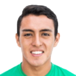 K. F. Salvatierra Flores