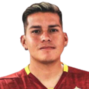 Y. Villegas