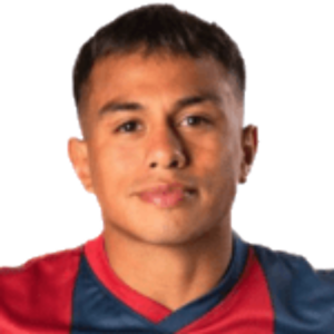 N. Barrios