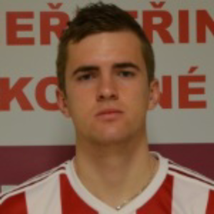 R. Dedič