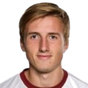 J. Fortelný